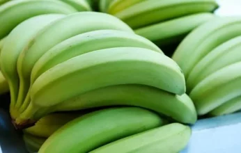 ما هي فوائد الموز الأخضر؟