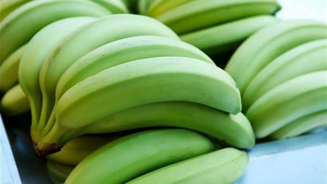 ما هي فوائد الموز الأخضر؟ ما هي فوائد الموز الأخضر؟