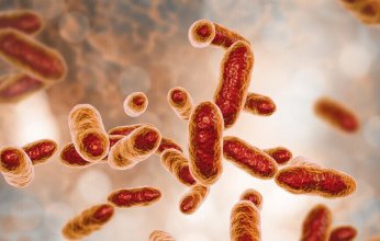 دراسة حديثه.. بكتيريا الأمعاء قد تكون مفتاح مكافحة حد أكثر أشكال السرطان فتكا