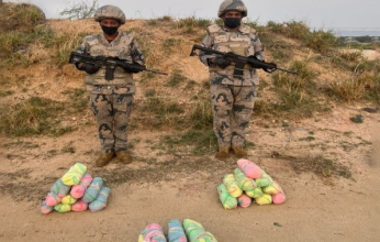 إحباط محاولة تهريب كمية من نبات القات المخدر بجازان