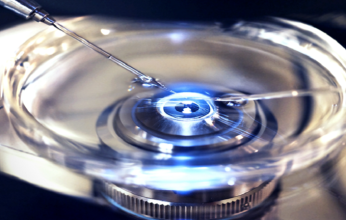 مسؤول سابق في «جوجل» يحذر من إمكانية استخدام الذكاء الاصطناعي لخلق «وباء قاتل».. فما التفاصيل؟