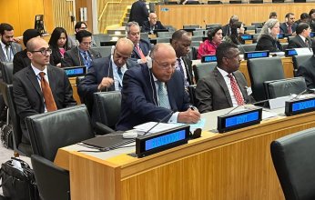 وزير الخارجية المصري يشارك بالاجتماع رفيع المستوى حول مبادرة التنمية العالمية بنيويورك