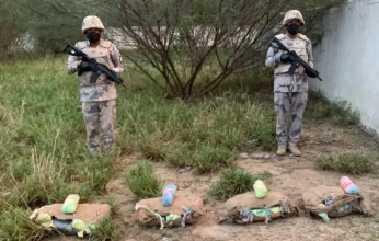 إحباط محاولة تهريب 86 كيلوجرامًا من نبات القات المخدر بجازان