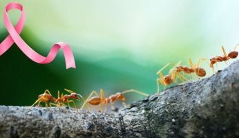 تقارير تكشف ارتفاع نسب الإصابة بالسرطان عالميا فى 2030