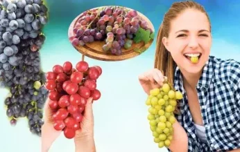 دراسة جديدة: العنب يقوي النظر