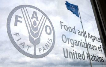 بالأرقام.. «الفاو» يكشف حجم الخسائر بسبب كوارث البشر والطبيعية في 3 عقود