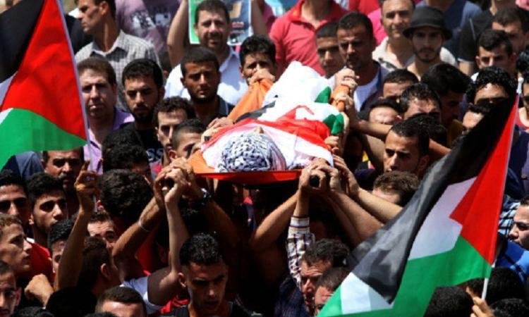 بينهم صحفي.. استشهاد عدد من الفلسطينيين في قصف إسرائيلي لقطاع غزة بينهم صحفي.. استشهاد عدد من الفلسطينيين في قصف إسرائيلي لقطاع غزة