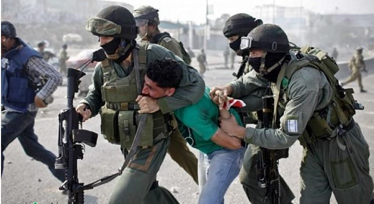 الاحتلال الإسرائيلي يعتقل 12 فلسطينيًا بالضفة الغربية الاحتلال الإسرائيلي يعتقل 12 فلسطينيًا بالضفة الغربية