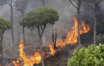تواصل جهود إخماد حرائق الغابات في إندونيسيا