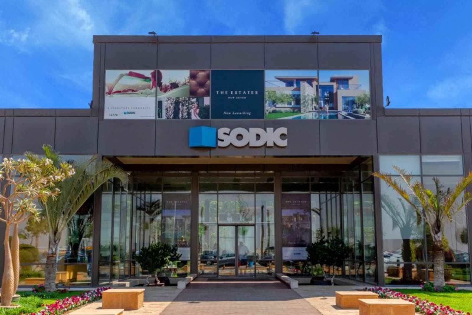 أرباح "سوديك" تنمو 27% إلى 557 مليون جنيه خلال 9 أشهر أرباح "سوديك" تنمو 27% إلى 557 مليون جنيه خلال 9 أشهر