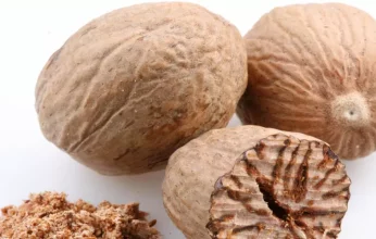 تعرفى على فوائد جوزة الطيب واهميتها في علاج الامراض المزمنة