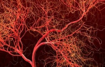 علماء روس يطورون طريقة للوقاية من النوبات القلبية.. إعرف التفاصيل