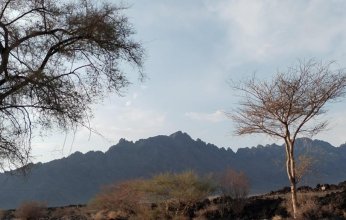 طقس السعودية.. سحب رعدية ممطرة على بعض مناطق المملكة