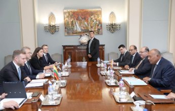 وزير الخارجية المصري يؤكد ضرورة خفض التصعيد الراهن فى قطاع غزة