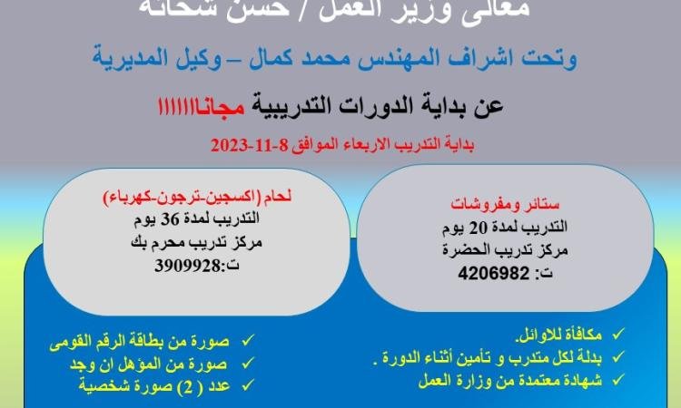 وزارة العمل تقدم فرص تدريب مجاني لشباب الإسكندرية في 4 مهن مختلفة وزارة العمل تقدم فرص تدريب مجاني لشباب الإسكندرية في 4 مهن مختلفة