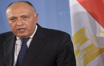 وزير الخارجية المصري يشدد على الضرورة العاجلة لمساعدة غزة في مؤتمر باريس