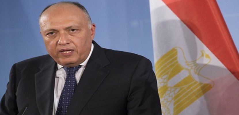 وزير الخارجية المصري يشدد على الضرورة العاجلة لمساعدة غزة في مؤتمر باريس وزير الخارجية المصري يشدد على الضرورة العاجلة لمساعدة غزة في مؤتمر باريس