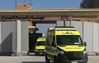 مصر تتبنى قضية الأطفال الخدج وتقدم يد العون الطبي بإرادة رئاسية