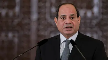 السيسي: الوقف الفوري لإطلاق النار أمر لا بد منه في غزة السيسي: الوقف الفوري لإطلاق النار أمر لا بد منه في غزة