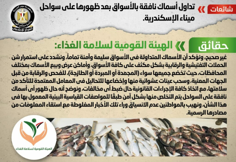 أسماك نافقة أم أخبار زائفة؟ حقائق تكشفها الهيئة القومية لسلامة الغذاء أسماك نافقة أم أخبار زائفة؟ حقائق تكشفها الهيئة القومية لسلامة الغذاء