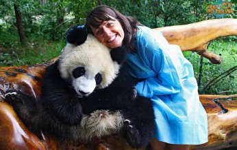 الذكاء الاصطناعي يحول دب الباندا إلى دكتور نفساني