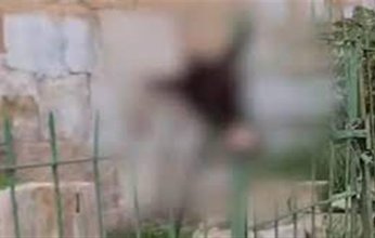 شاهد| «تصرف إسرائيلي شنيع».. رأس حمار مذبوح عند مقابر الصحابة في القدس