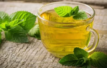 الشاي الأخضر.. مشروب صباحي يعزز الصحة ويقي من الأمراض