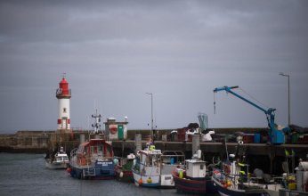 «أسماك عُمان» تغضب الصيادين في فرنسا