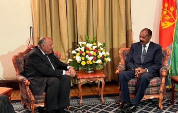 بعد أيام من إعلان «القاعدة الإثيوبية».. وزير الخارجية المصري يلتقي بنظيره الإريتري