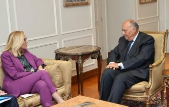 مصر تطالب بآلية أممية لتدفق المساعدات إلى غزة