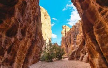 شاهد.. سعودي يوثق تشكيلات صخرية غريبة في تبوك