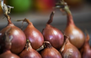 «النيابة المصرية» تعاقب محتكري البصل بإعادته للمواطنين