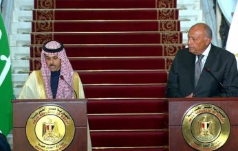 شاهد| وزير الخارجية المصري: إثيوبيا تراجعت عما اتفقنا عليه بشأن سد النهضة