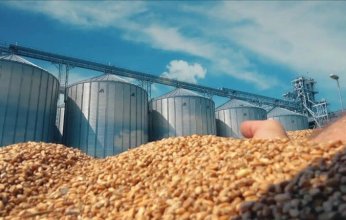 بالتفاصيل.. خطة مصرية لتفادي الصدمات السعرية للقمح