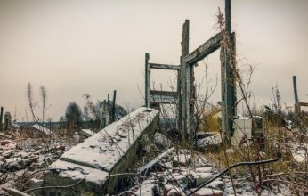 حقيقة علمية وسيناريو تخيلي.. الأعشاب البحرية تنقذ البشر من الجوع أثناء الشتاء النووي