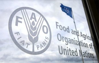 الفاو: ارتفاع محدود لأسعار السلع الغذائية العالمية في يونيو الماضي