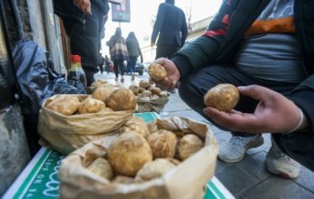 مجزرة مروعة تنحر «جامعي الكمأة» في سوريا