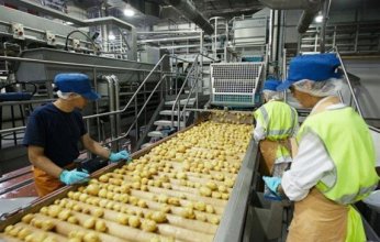 السعودية أكبر مستورد للأغذية المصرية خلال أسبوع.. البطاطس في الصدارة