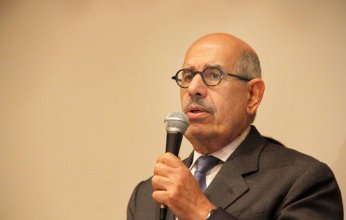 البرادعي يقارن بين موقف أيرلندا والعرب في «الجنائية الدولية»