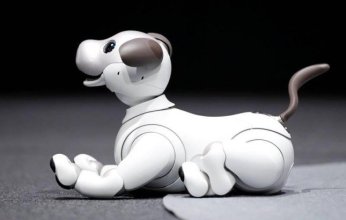 الروبوتات الأليفة تحل محل الكلاب الحقيقية