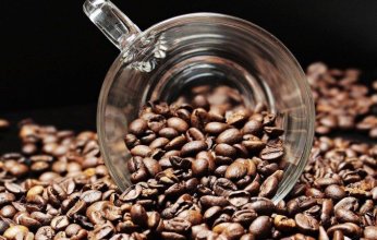 موجات الحر تهدد محصول القهوة في البرازيل.. مخاوف من ارتفاع الأسعار عالميًا