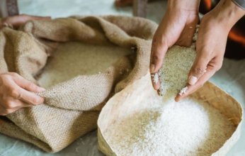 «الإفتاء المصرية» تجيب على 11 سؤالا في إخراج زكاة الفطر