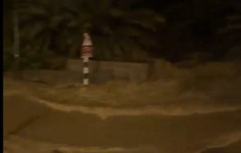 شاهد.. سقوط النخل جراء السيول في عمان