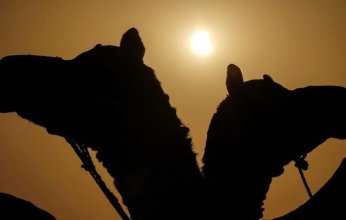 ظواهر غريبة حدثت مع كسوف الشمس الكلى يصعب تفسيرها