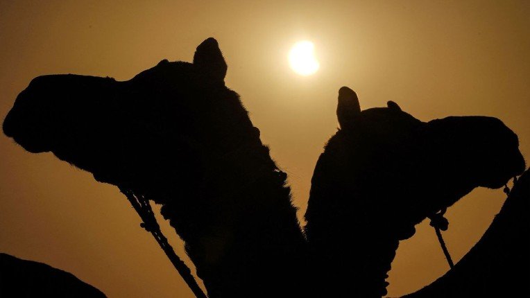 ظواهر غريبة حدثت مع كسوف الشمس الكلى يصعب تفسيرها ظواهر غريبة حدثت مع كسوف الشمس الكلى يصعب تفسيرها
