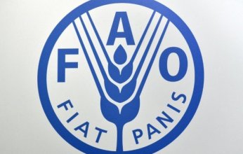 للشهر الثاني.. موجة غلاء جديدة تضرب أسعار الغذاء العالمية