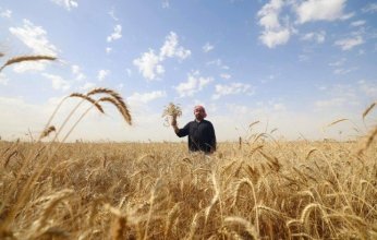 شح المياه والمواد الكيماوية يخنق المزارع العراقي