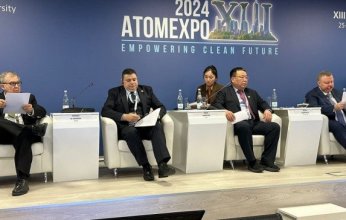 مسؤول مصري: مفاعل الضبعة يتحمل اصطدام طائرة تجارية ثقيلة