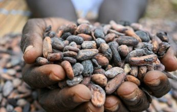 من المستفيد من ارتفاع أسعار الكاكاو؟