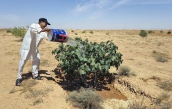 أنياب التصحر تقترب من منطقة ليبية خصبة.. ما السبب؟